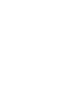 bhkw icon